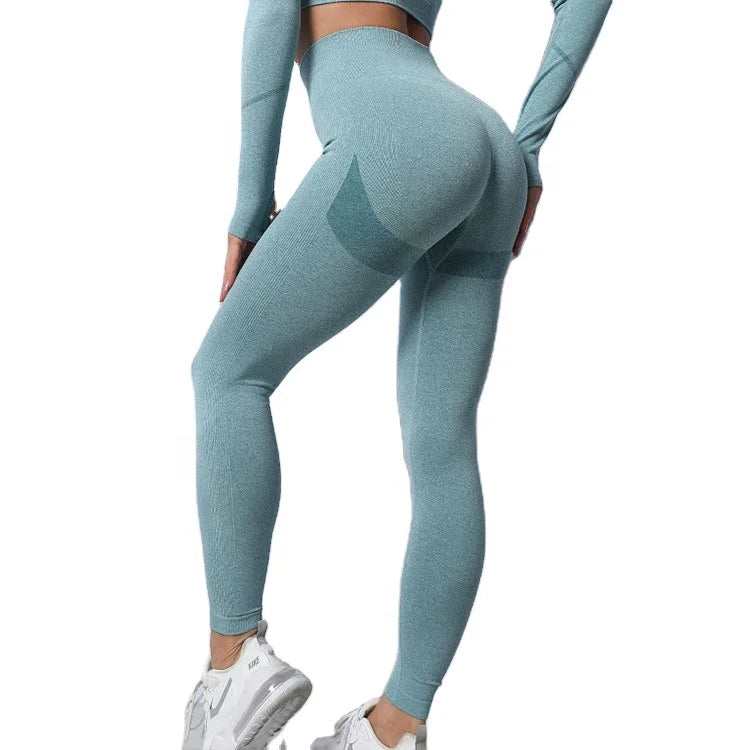 Women Fitness Yoga Pants High Waisted Gym Wear Workout Clothing Seamless Leggings