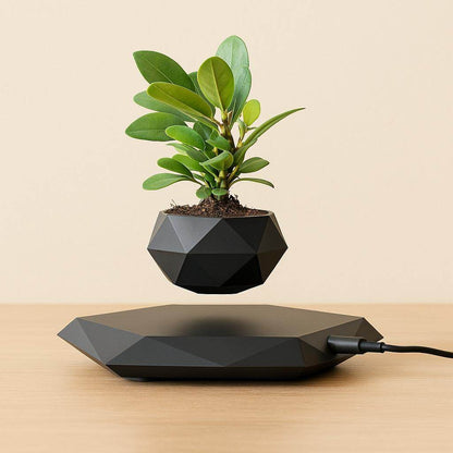 Floating Magnetic Levitating Flower Pot