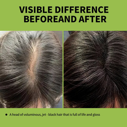 Rosemary Black Hair Dye Shampoo 500ml